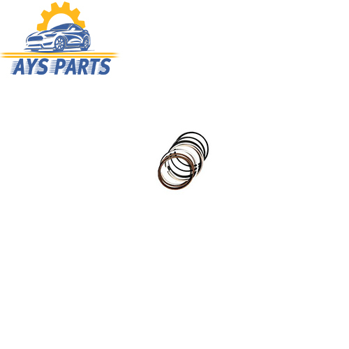 رینگ موتور ام وی ام 110 اس (شرکتی)