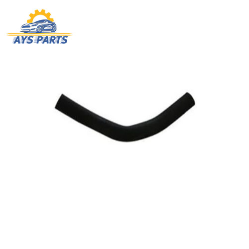 جنت بخاری بلند جیلی سواری