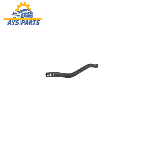 جنت بخاری کوتاه جیلی سواری